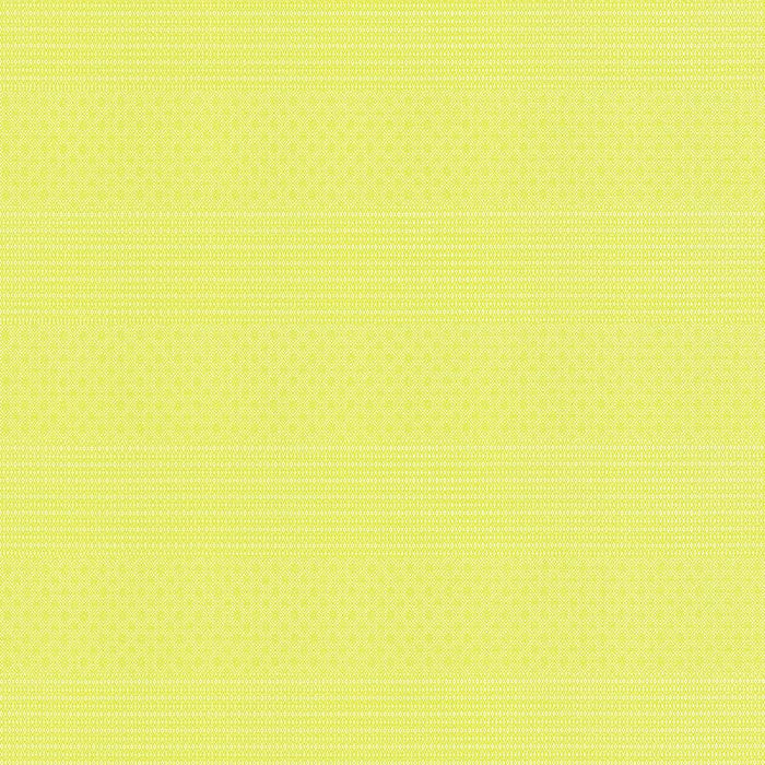 Gaston Y Daniela Kailas Lima Fabric GDT5697.004.0