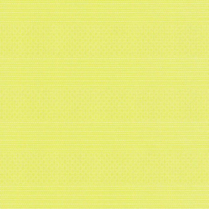 Gaston Y Daniela Kailas Lima Fabric Sample GDT5697.004.0