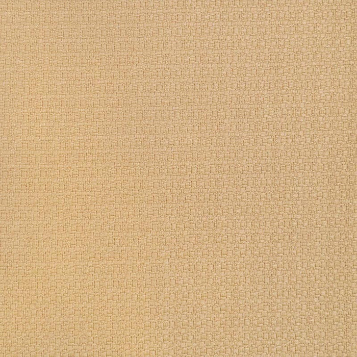 Gaston Y Daniela Lhasa Paja Fabric Sample GDT5698.015.0