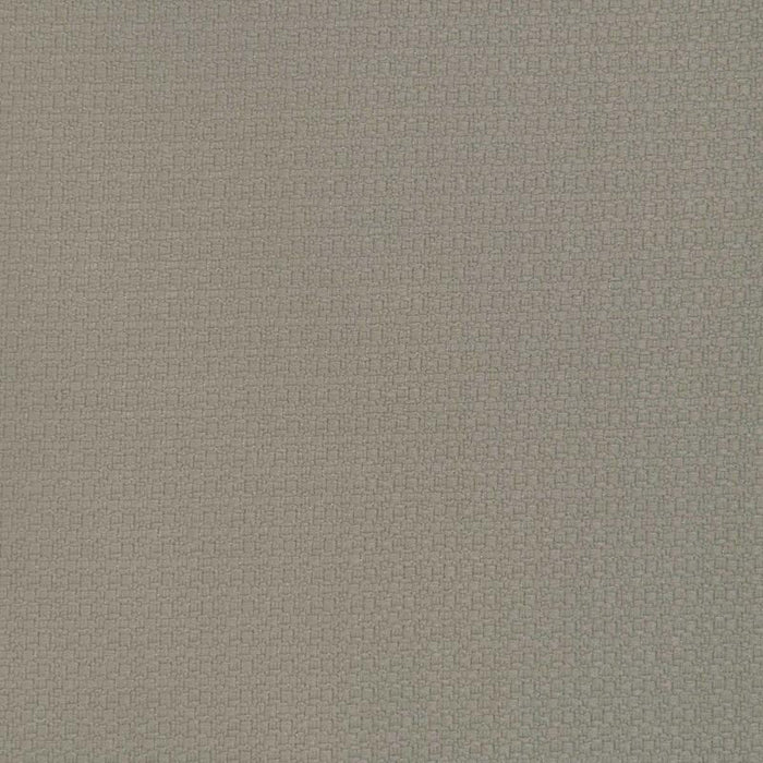 Gaston Y Daniela Lhasa Vison Fabric Sample GDT5698.017.0