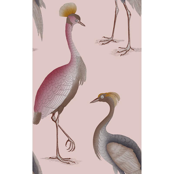 Gaston Y Daniela Garzas Rosa Wallpaper Sample GDW5773.006.0