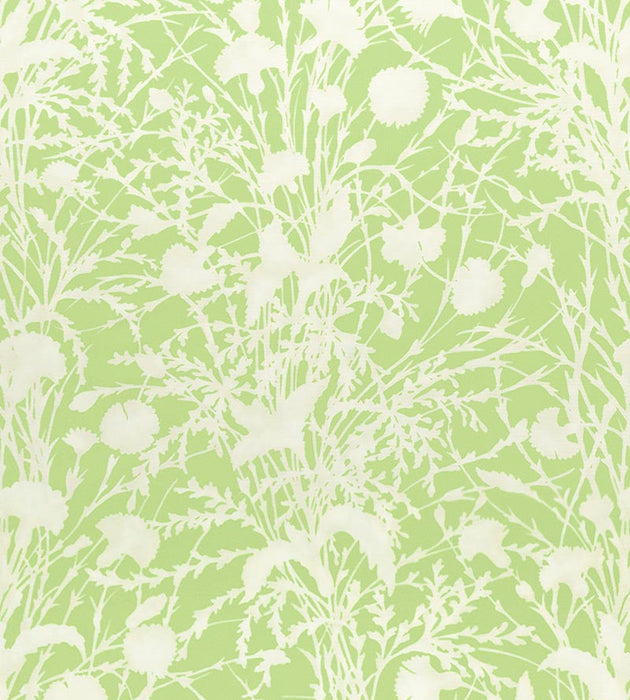 Grey Watkins Wildflower Grasshopper Fabric GW166230003