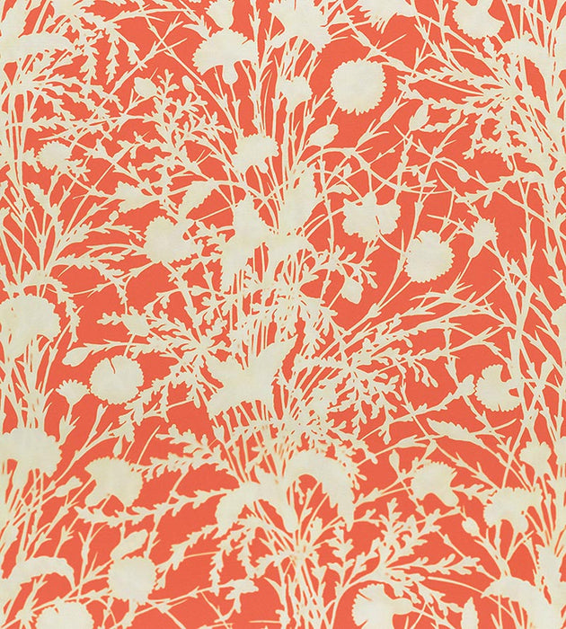 Grey Watkins Wildflower Guava Fabric Sample GW166230004