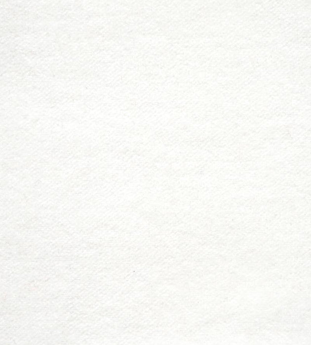 Lelievre Cosmos Talc Fabric Sample H003830001