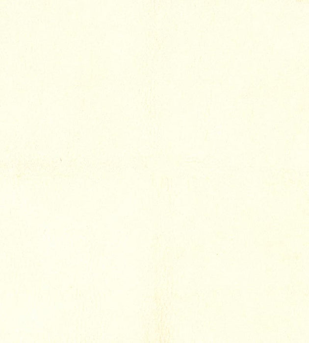 Lelievre Western Craie Fabric Sample H005330001
