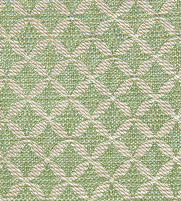 Tassinari & Chatel Guipure Amande Fabric Sample H016990002