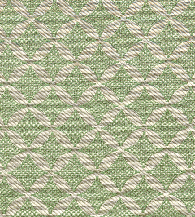Tassinari & Chatel Guipure Amande Fabric H016990002