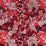 Jean Paul Gaultier Kyoto Lampas Grenat Fabric H034660002