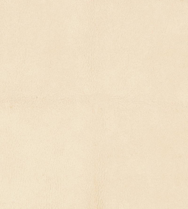Lelievre Western Riz Fabric Sample H005330003