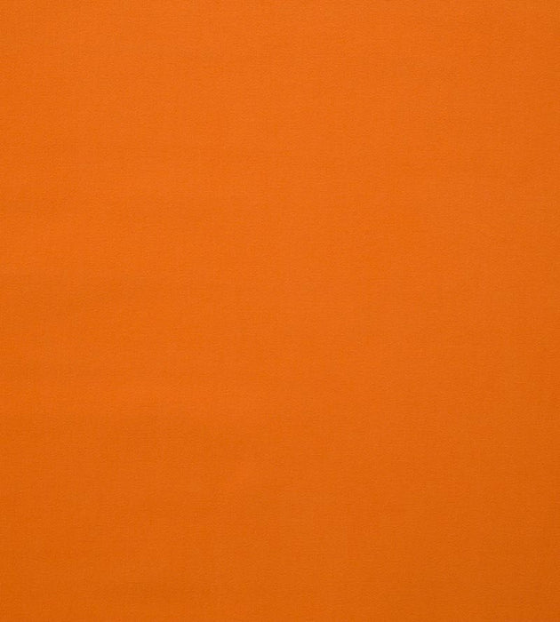 Lelievre Toucan Kumquat Fabric Sample H005580003