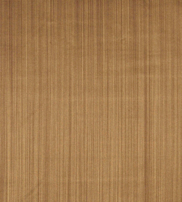 Tassinari & Chatel Vertige Bois Fabric Sample H016820003