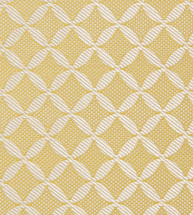 Tassinari & Chatel Guipure Or Fabric Sample H016990003