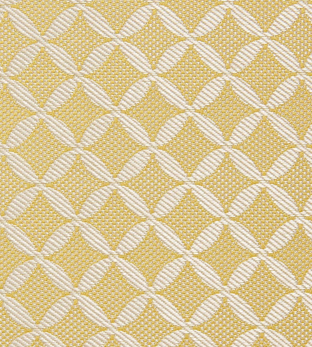 Tassinari & Chatel Guipure Or Fabric H016990003