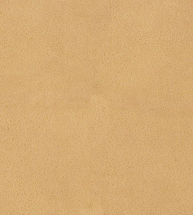 Lelievre Western Chamois Fabric Sample H005330004