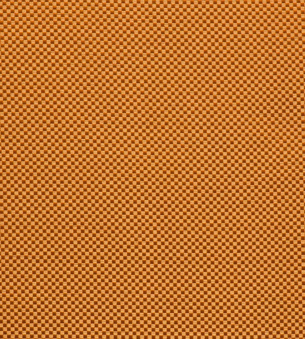 Tassinari & Chatel Da Vinci Ecaille Fabric Sample H016920004