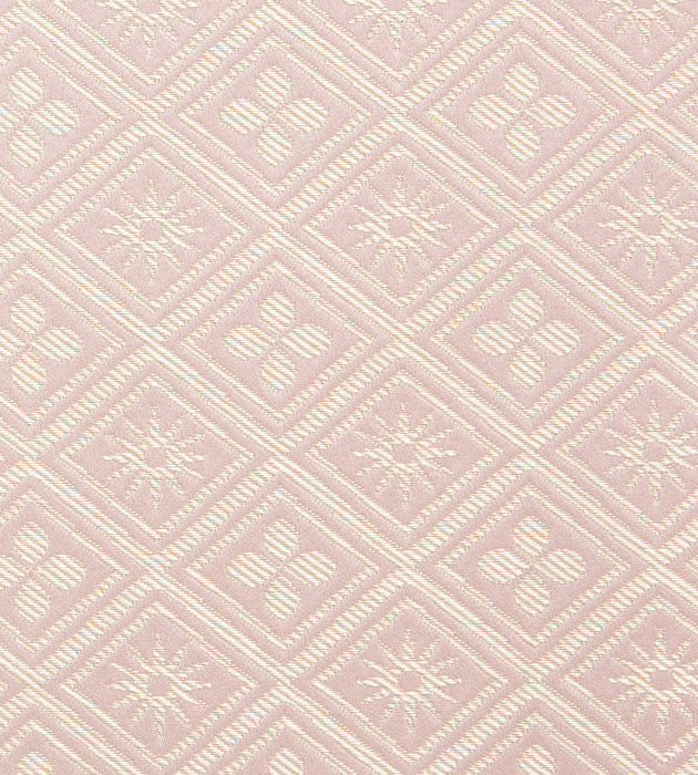 Tassinari & Chatel Corset Poudre Fabric Sample H016980004