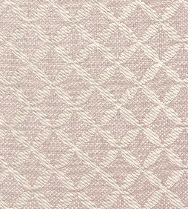 Tassinari & Chatel Guipure Poudre Fabric H016990004