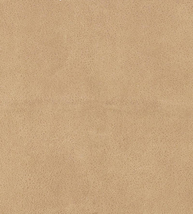 Lelievre Western Tabac Fabric Sample H005330005