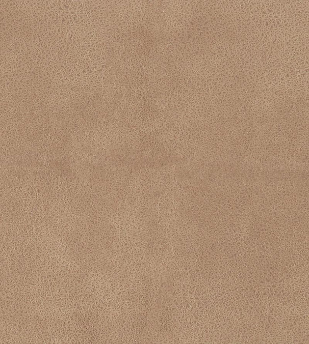 Lelievre Western Taupe Fabric Sample H005330007