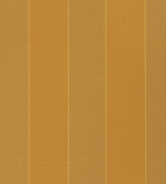 Tassinari & Chatel Fontenay Ambre Fabric H016790007