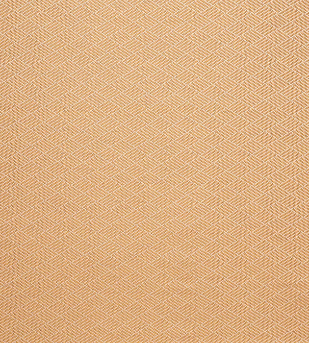 Lelievre Nodo M1 Or Fabric Sample H042280008