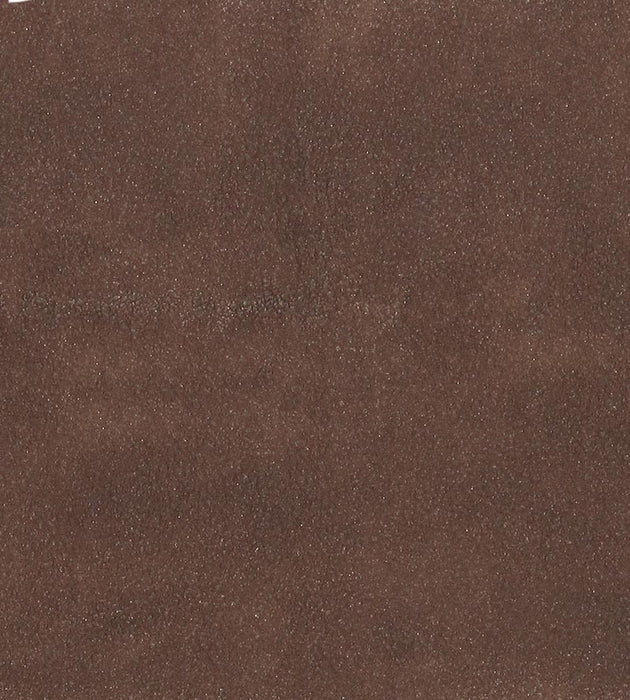 Lelievre Western Sienne Fabric Sample H005330010
