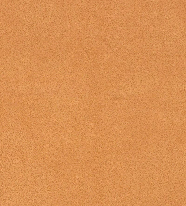 Lelievre Western Antilope Fabric Sample H005330011