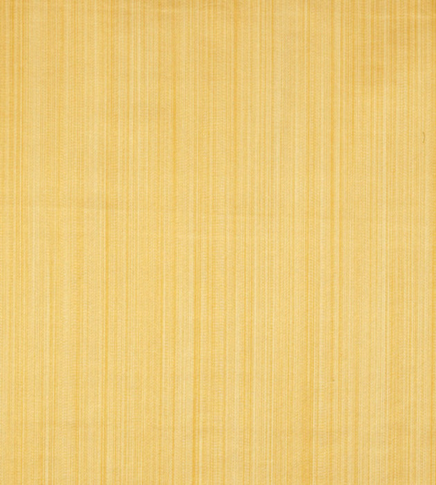 Tassinari & Chatel Vertige Or Fabric Sample H016820011