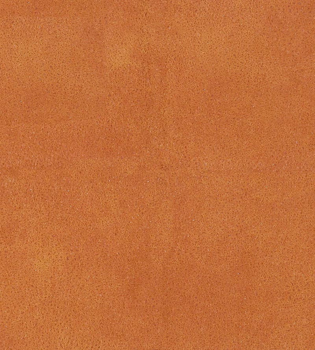 Lelievre Western Cognac Fabric Sample H005330012