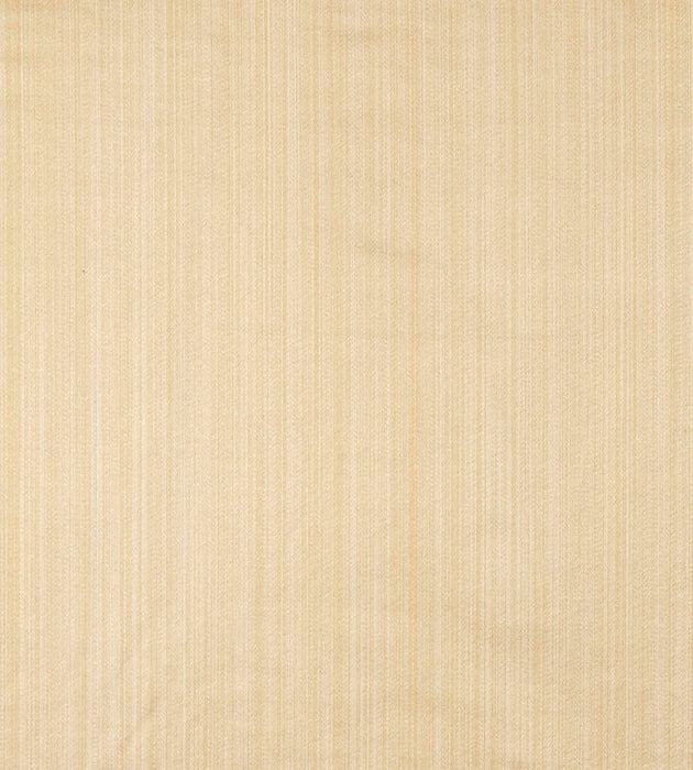 Tassinari & Chatel Vertige Blond Fabric Sample H016820012