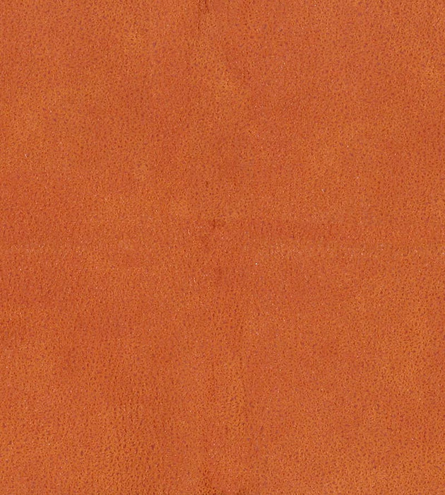 Lelievre Western Fauve Fabric Sample H005330013