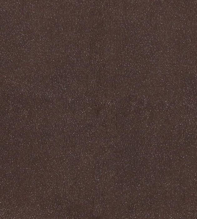 Lelievre Western Truffe Fabric Sample H005330017