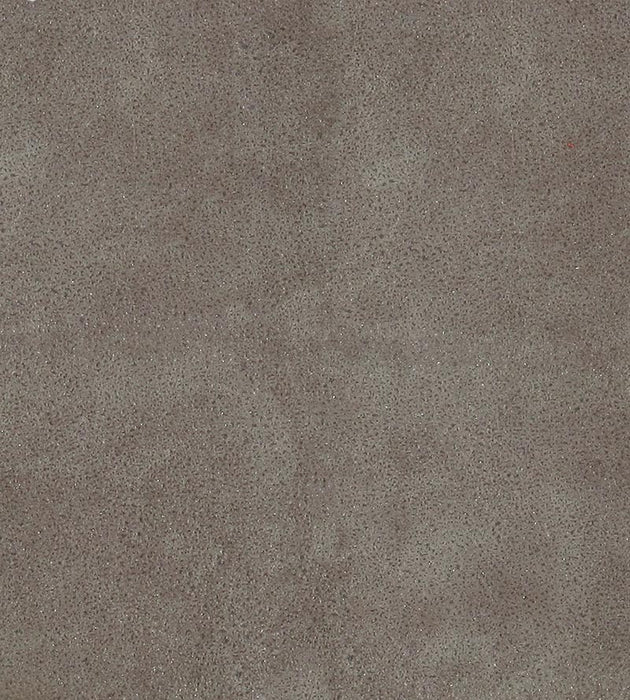 Lelievre Western Elephant Fabric Sample H005330018