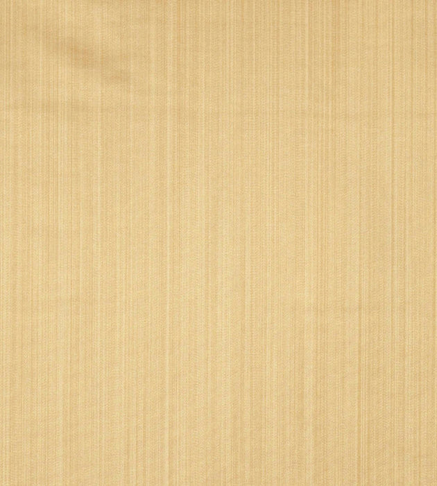 Tassinari & Chatel Vertige Mordore Fabric Sample H016820018