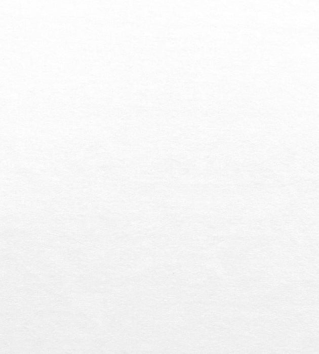 Lelievre Nabab M1 Neige Fabric Sample H003240019