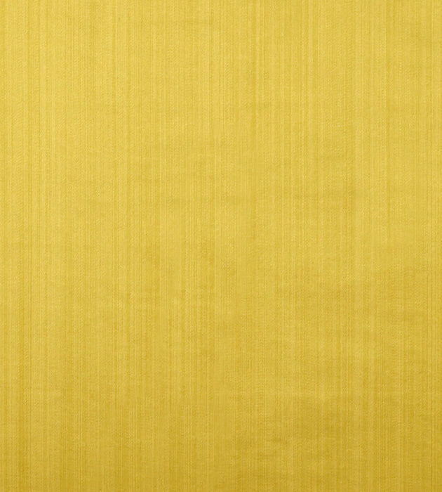 Tassinari & Chatel Vertige Chartreuse Fabric Sample H016820019