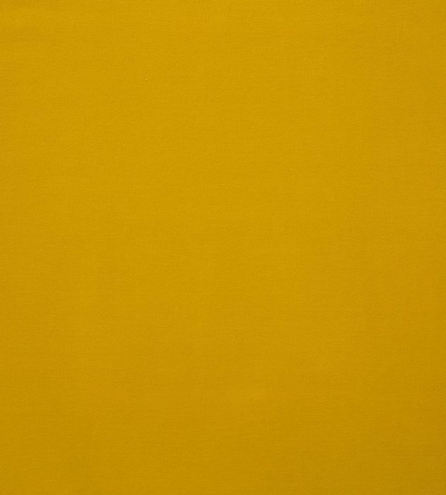 Lelievre Toucan Pollen Fabric Sample H005580024