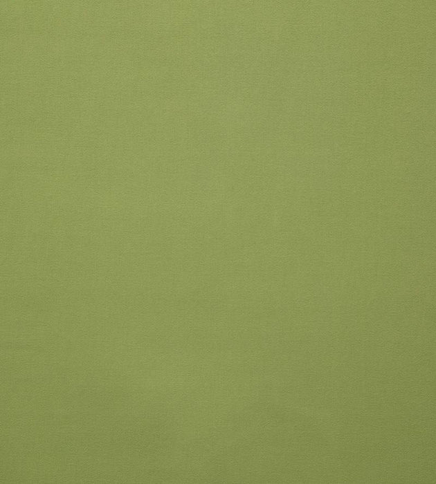 Lelievre Toucan Lime Fabric Sample H005580027