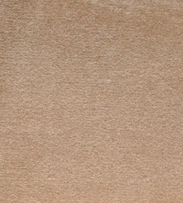 Lelievre Cosmos Dune Fabric Sample H003830043