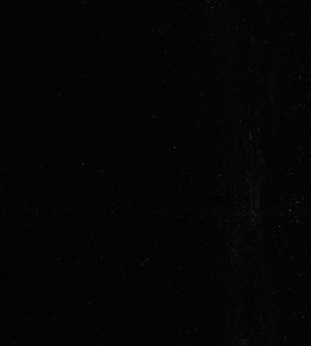 Lelievre Cosmos Noir Fabric Sample H003830049
