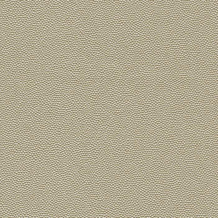 Kravet Design HAMMER.1101.0 Fabric