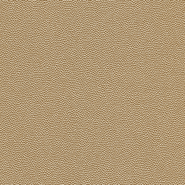 Kravet Design HAMMER.11.0 Fabric
