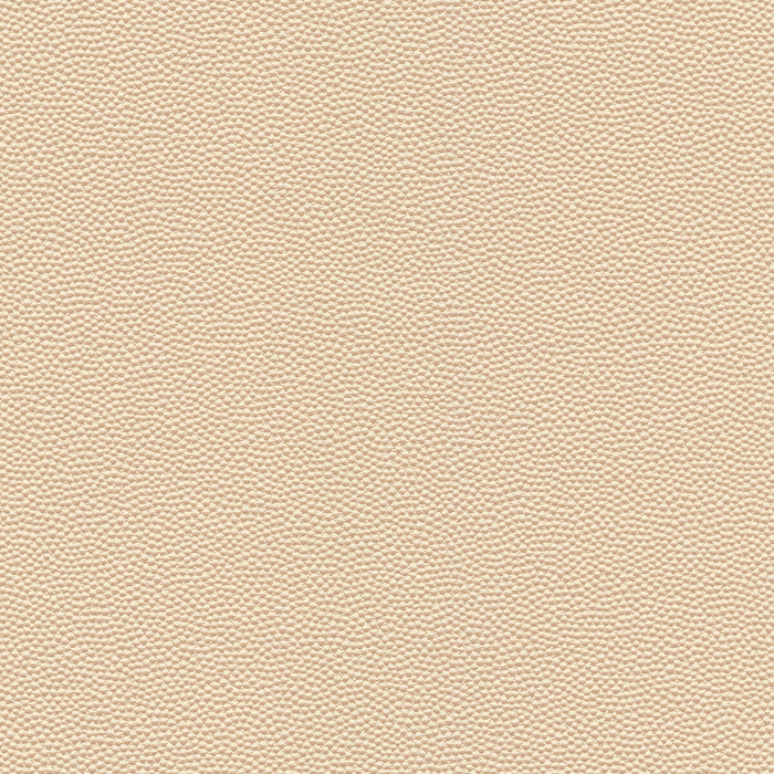 Kravet Design HAMMER.1.0 Fabric