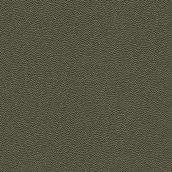 Kravet Design HAMMER.3.0 Fabric