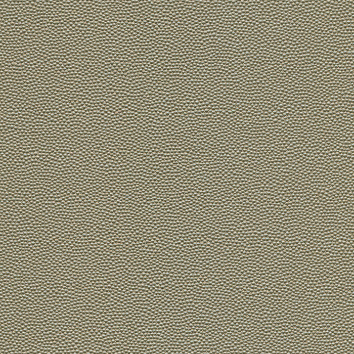Kravet Design HAMMER.52.0 Fabric