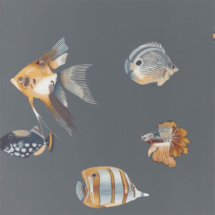 Harlequin Kamanu Amber/Slate Wallpaper Sample HANZ111648