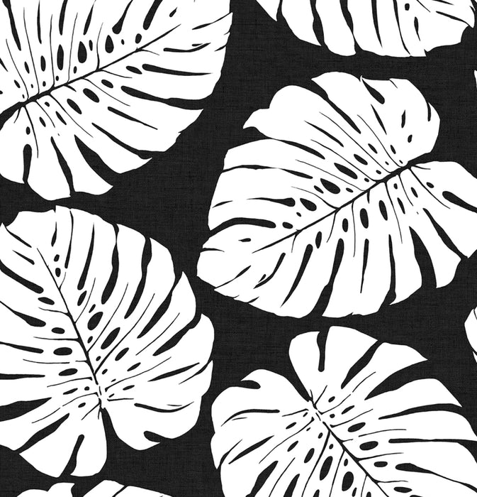 Seabrook Designs Monstera Leaf Shadow Wallpaper Sample HG10500