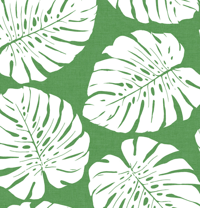 Seabrook Designs Monstera Leaf Green Wallpaper Sample HG10504