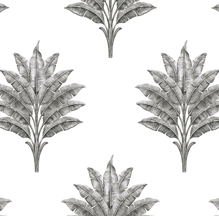 Seabrook Designs Sea Breeze Palm Charcoal Wallpaper Sample HG10600