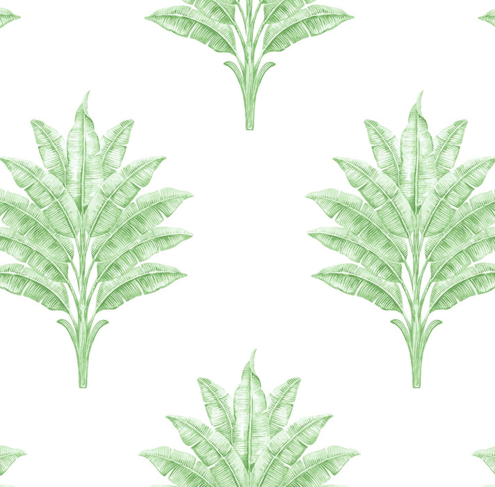 Seabrook Designs Sea Breeze Palm Greenery Wallpaper Sample HG10604